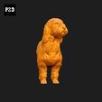 128-Basset_Griffon_Vendeen_Petit_Pose_02.gif Basset Griffon Vendeen Petit Dog 3D Print Model Pose 02