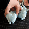 20220130_101914.gif HeartbuttCorgi v.2.2