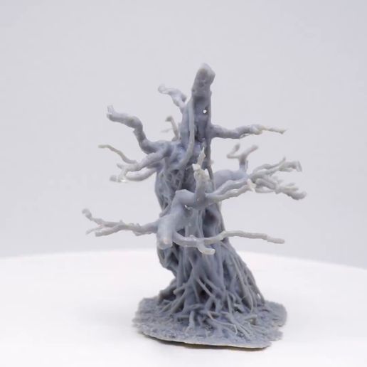 Tree_5_Grey_square_layout_turntable.mp4 3D-gescannter knorriger Baum mit abnehmbarer Baumkrone