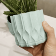 WAVE-PATTERN-ALOE-POT-GIF.gif MACETA CON SUCULENTAS ONDULADAS