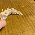 GIF.gif Dragon's spine