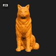 031-Alaskan_Malamute_Pose_04.gif Alaskan Malamute Dog 3D Print Model Pose 04