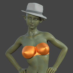 01.gif Archivo STL gratis Lara lista para la playa・Modelo imprimible en 3D para descargar, Mister_lo0l_
