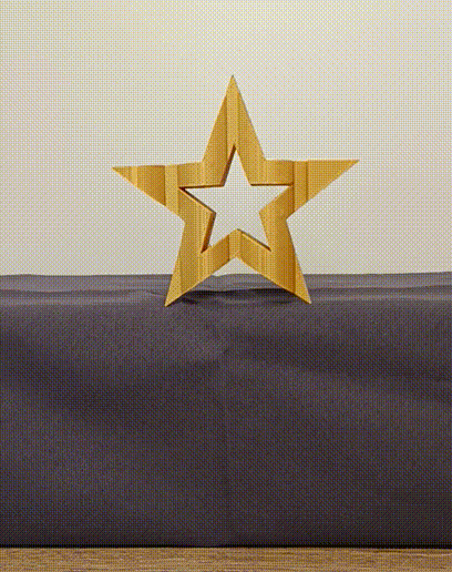 Etoile 2025 3D model