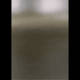 giphy-53.gif Desdentado bailando meme flexi - sin soporte - multicolor