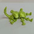 escarabajitoto.gif STL file Rhinoceros Beetle Flexi・3D printing model to download