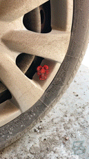 Lobster Schrader Valve Cap – Coastal Crustacean Tire Accent 🦞