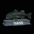 Bass-mouth-2-statue-4.gif fish Largemouth Bass / Micropterus salmoides in motion open mouth statue detailed texture for 3d printing
