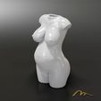 Pregnant-Woman-Body-Vase.gif Файл STL Ваза для тела беременной женщины・Модель для загрузки и 3D печати