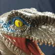 Blue.gif STL file DINOSAURS Velociraptor・3D print design to download