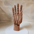 20190314_115405.gif Free STL file Articulated hand・Design to download and 3D print, NOP21