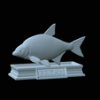 Bream-statue-5.gif fish Common bream / Abramis brama statue detailed texture for 3d printing