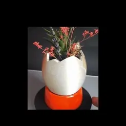 NewProjectClipchampileyapld-ezgif.com-video-to-gif-converter.gif Egg Shaped Mini Planter for Succulent and Plants