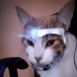 WhatsApp-Video-2022-05-25-at-7.15.56-PM-1.gif TOP IRONCAT