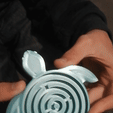 Vidéo-1.gif Laby-Schildkröte