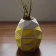 Gif-min.gif The Magic Pineapple - Organizer/Flowerpot