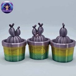 ezgif.com-gif-maker-10.gif Archivo 3D Cactus sorpresa・Plan imprimible en 3D para descargar