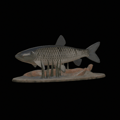 Grass-carp-1.gif STL file fish grass carp / Ctenopharyngodon idella / amur bílý statue detailed texture for 3d printing・3D printable model to download
