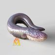 Electric-Eel.gif STL file Electric Eel - VRML Color 3d print file & STL -Electrophorus electricus・Template to download and 3D print