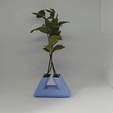 gif-2.gif Triangle flower pot