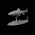 pstruh-klacky-1-4.gif rainbow trout 2.0 underwater statue detailed texture for 3d printing