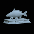 Carp-money-2.gif fish sculpture of a carp with storage space for 3d printing