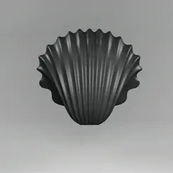 video-shell.gif Seashell box for jewelry