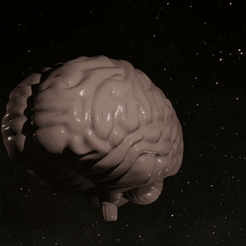 BrainBox.gif STL file Brain Box (No supports needed)・Model to download and 3D print, xushix
