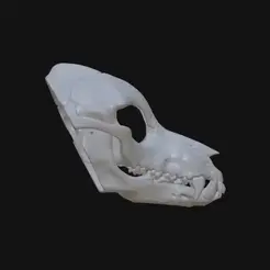 Skull-Wolf.gif Archivo STL Base de cabeza WolfDog Skull・Diseño de impresión en 3D para descargar