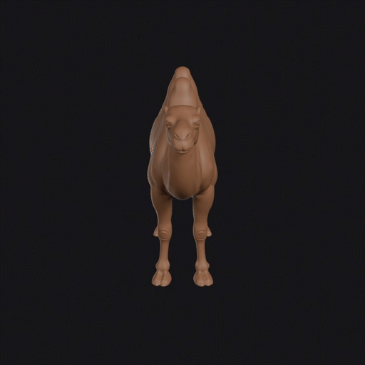Bactrian Camel