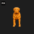 376-Bullmastiff_Pose_01.gif Bullmastiff Dog 3D Print Model Pose 01