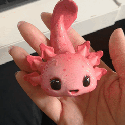 VID_20240125_154016.gif Cute Axolotl Magnet