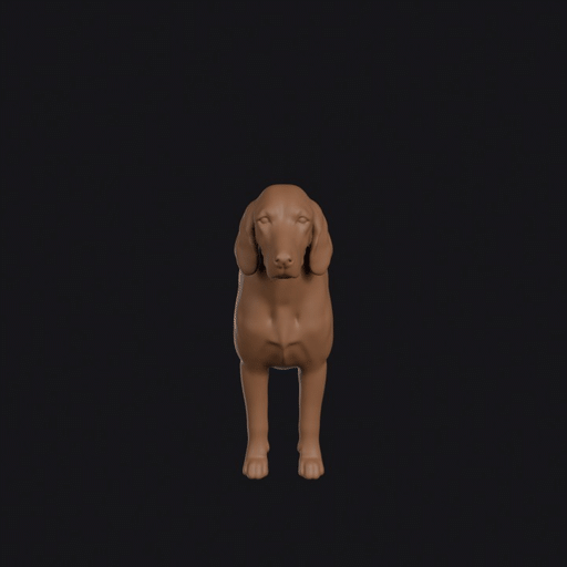 Irish Setter