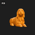 135-Basset_Griffon_Vendeen_Petit_Pose_09.gif Basset Griffon Vendeen Petit Dog 3D Print Model Pose 09