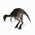 tinywow_VIDeoon_37311434-real.gif DOWNLOAD Dinogall 3D MODEL ANIMATED - BLENDER - 3DS MAX - CINEMA 4D - FBX - MAYA - UNITY - UNREAL - OBJ -  Animal & creature Fan Art People Dinogall Dinosaur Gallimimus Gallimimus Aquilamimus Archaeornithomimus