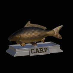 carp-model-1.gif Fichier STL statue de carpe poisson texture détaillée pour impression 3d・Modèle pour imprimante 3D à télécharger