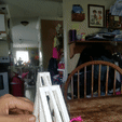 20191111_110648_1.gif Free STL file Desktop Trebuchet・3D print design to download