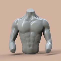 untitled.170.gif OBJ file MALE BODY TORSO・3D print model to download
