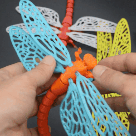 1.gif Flexi dragonfly