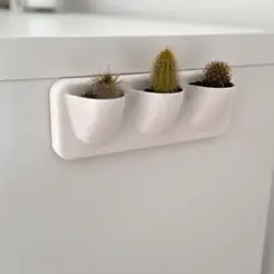 Cactus-wall-planter-set.gif Cactus wall planter / 3.5 cm diameter  (1.77 inches) mini cactus