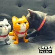 ezgif.com-video-to-gif-2.gif Angry Kitten