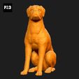 317-Boxer_Pose_05.gif Boxer Dog 3D Print Model Pose 05