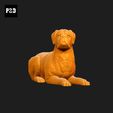 321-Boxer_Pose_09.gif Boxer Dog 3D Print Model Pose 09