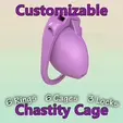 900opti.gif Customizable Chastity Cage