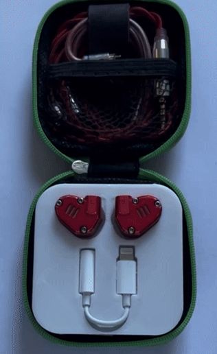 🎧 KZ ZS6 IEM organizer for headphones case・ STL File for 3D