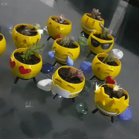 Emojis Flower Pot - 3D model önizlemesi