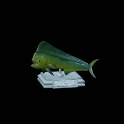 mahi-mahi-model-1.gif fish mahi mahi / common dolphin trophy statue detailed texture for 3d printing
