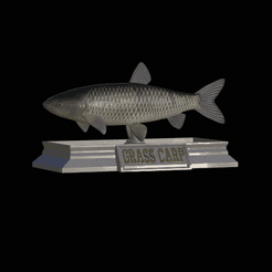 Grass-carp-model.gif STL file fish grass carp statue detailed texture for 3d printing・3D print design to download