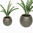 patrones-granos-circulares_.gif Plant pot, small and large circular grain pattern - Plant pot, small and large circular grain pattern