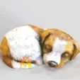 Sleeping-Puppy.gif Sleeping Puppy Planter- STL - DOG BREED - sleeping POSE - 3D PRINT MODEL